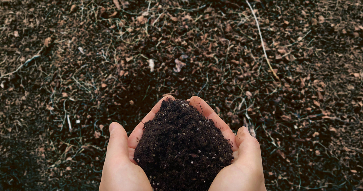 ベージュ＝五行「土」安定・調和・受容・安心を生むエネルギー